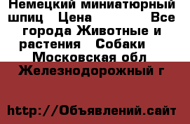 Немецкий миниатюрный шпиц › Цена ­ 60 000 - Все города Животные и растения » Собаки   . Московская обл.,Железнодорожный г.